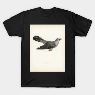 Common cuckoo-male (cuculus canorus) illustrated by the von wright brothers T-Shirt